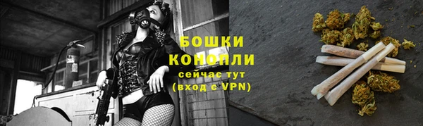 ПСИЛОЦИБИНОВЫЕ ГРИБЫ Абаза