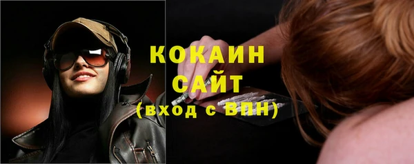 сатива Абинск