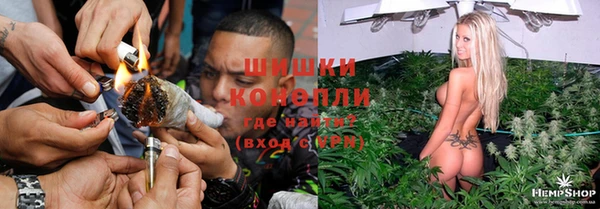 сатива Абинск