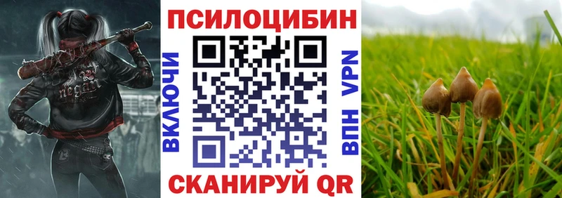 МЕГА ONION  Воронеж  Галлюциногенные грибы прущие грибы 