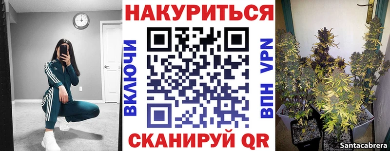 Шишки марихуана гибрид  где купить наркоту  Воронеж 